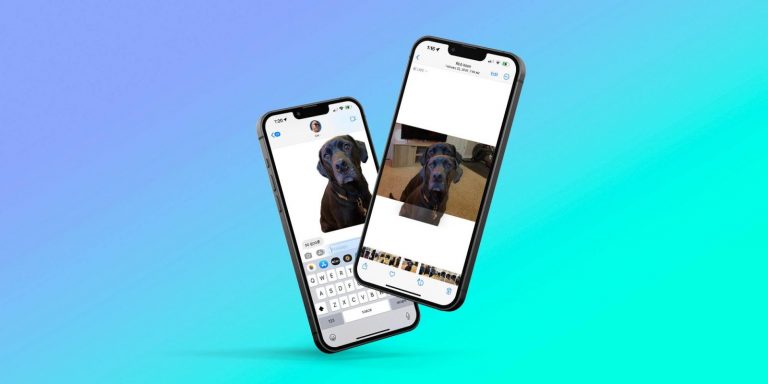 Comment supprimer l’arrière-plan de n’importe quelle image avec iOS