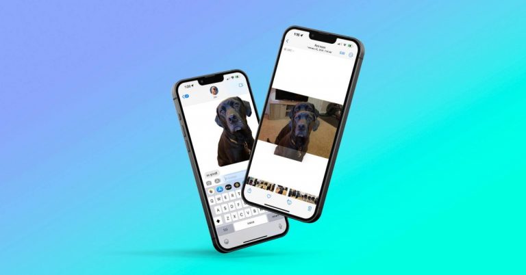 Comment supprimer l’arrière-plan de n’importe quelle image avec iOS