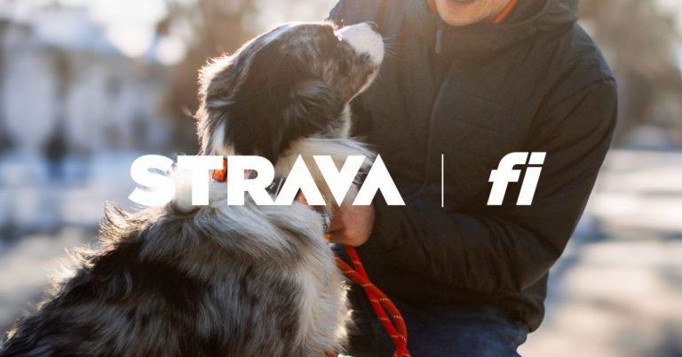 Strava s’associe à Fi Smart Collar pour le suivi de la activité des chiots