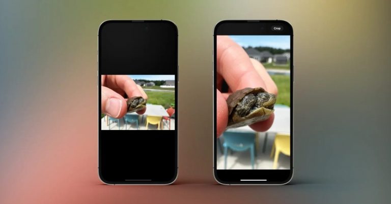 Recadrage rapide sur l’application iPhone Photos : comment l’utiliser dans iOS 17