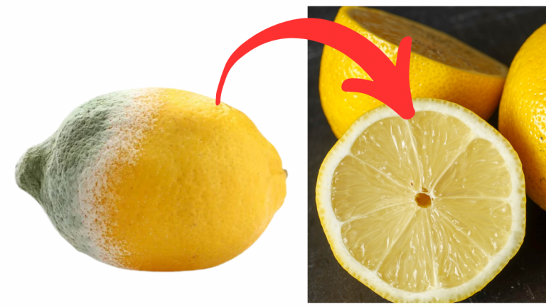 L’Astuce Infaillible pour Garder Vos Citrons Frais Pendant 6 Mois !